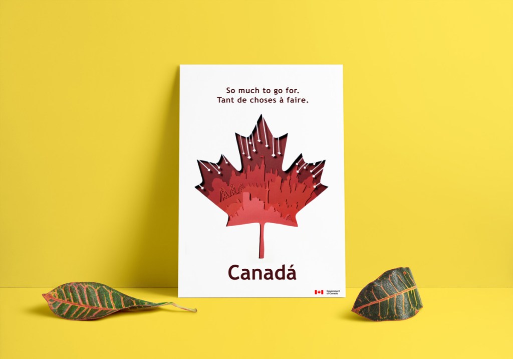 diseño gráfico, ilustración