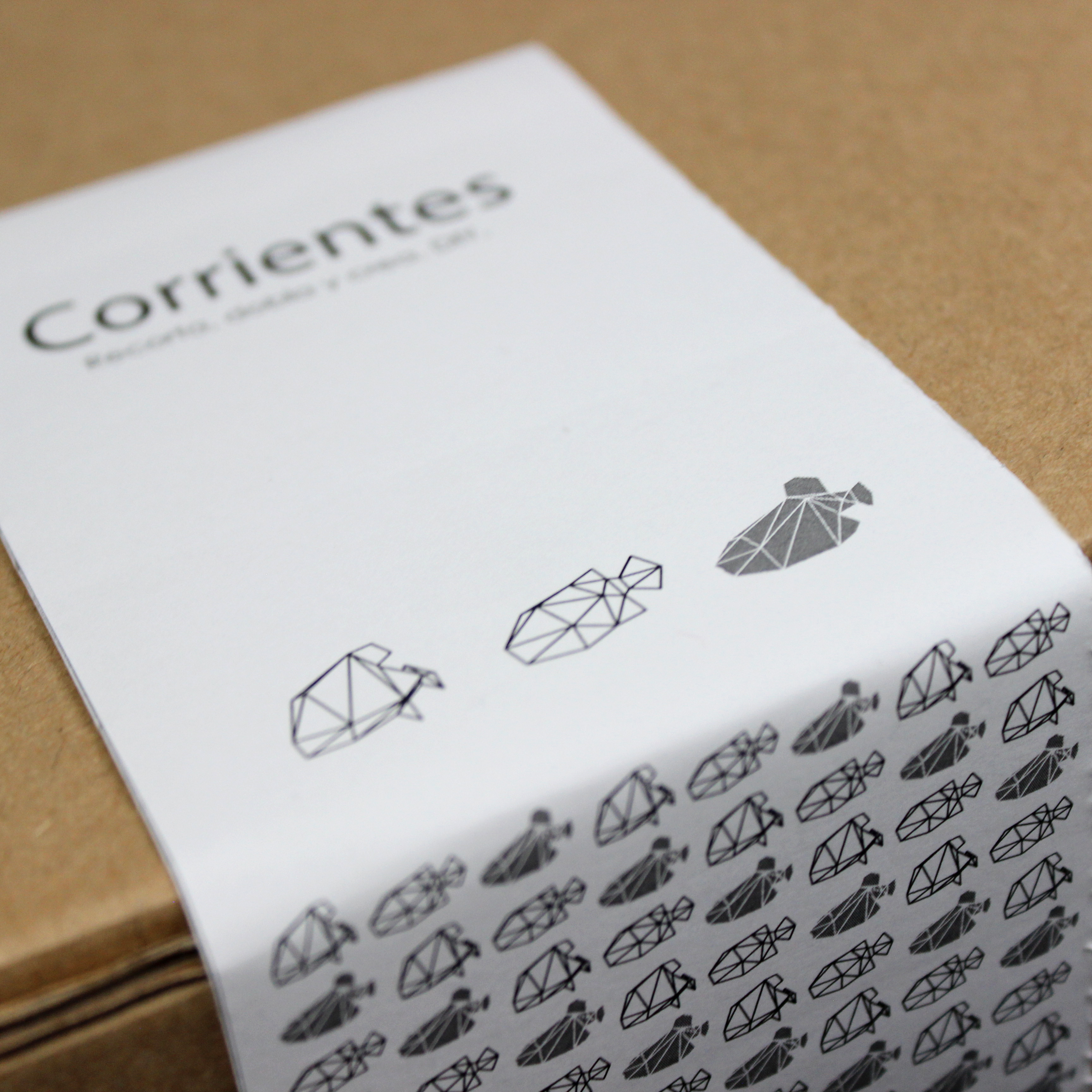 Foto detalle del Packaging de la Gambusia, serie Corrientes. Ilustración digital.